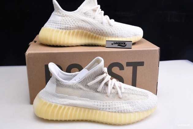 REFLECTIVE ADIDAS 350 FZ5246 YEEZY BOOST V2 ABEZ 1011